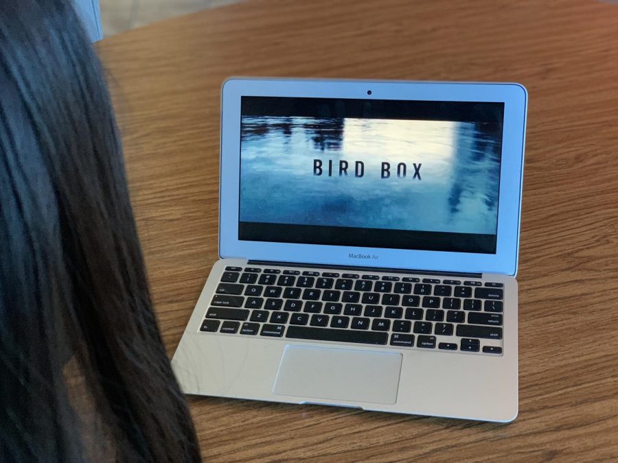 Bird+Box+captivated+viewers+with+a+thrilling+pot+and+a+chilling+theme.+