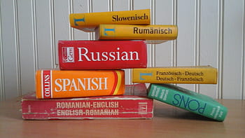 Books are an important tool to educate someone in a language foreign to them, but they do not help as much as bilingual programs.
