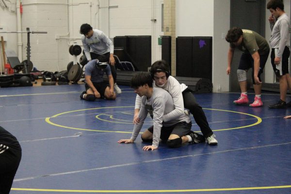 Wrestling Team Heads to Districts